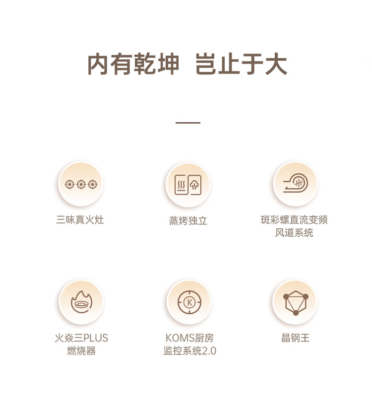 帥豐S69蒸烤獨立集成灶