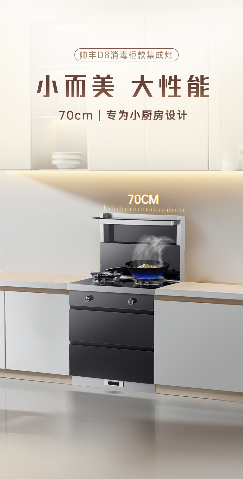 帥豐D8消毒柜款集成灶