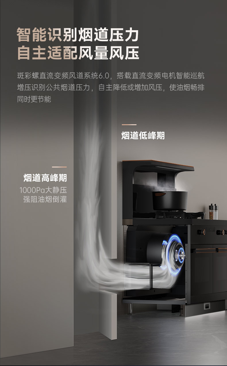 帥豐星辰X1雙子星蒸烤獨立(90Pro)集成灶